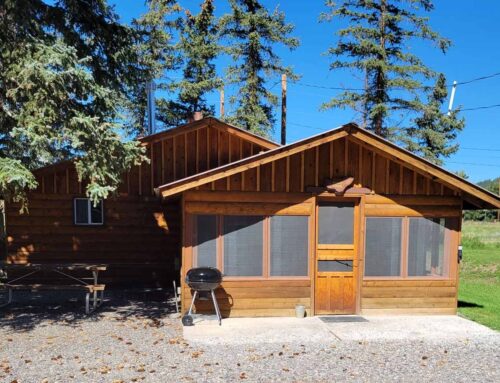 Moose Lodge Cabin